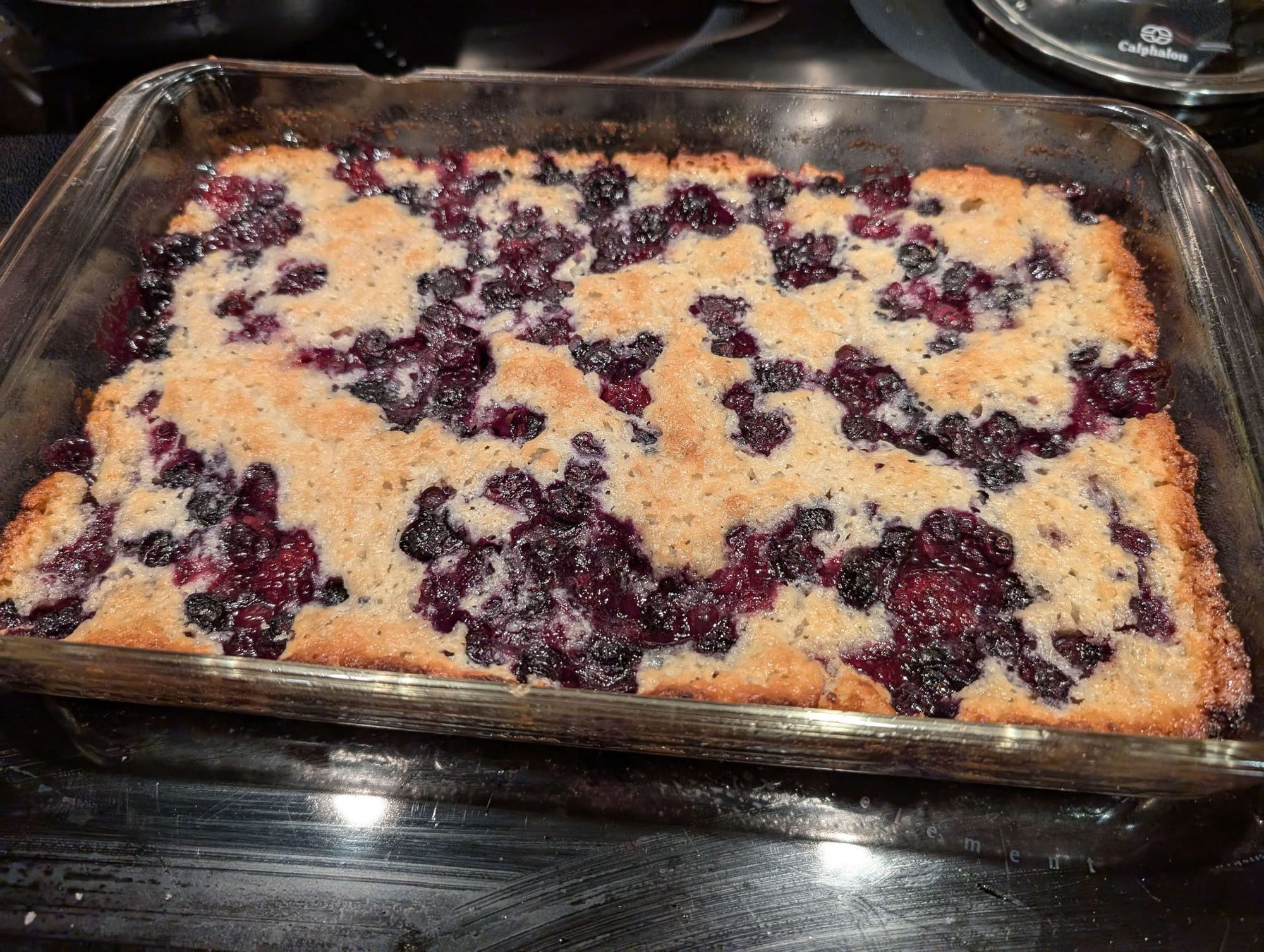 Picture of finished blueberry cobbler in the pan. Photo credit Zoë L.