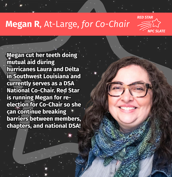 Megan Romer for Co-Chair